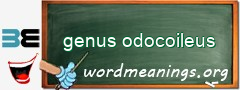 WordMeaning blackboard for genus odocoileus